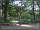 The mall - Central Park