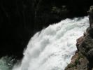 yellowstone - lower falls