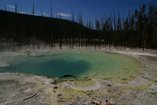 yellowstone - norris geyser basin
