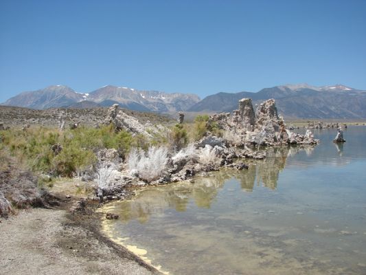 Mono Lake
Am Mono Lake - da stinkt's!
