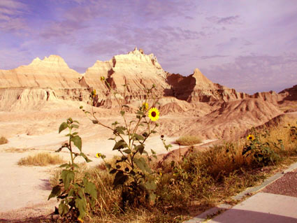 Badlands NP/SD
