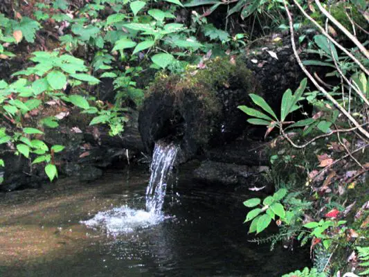 Cherokee Indian Village/NC_Alte Trinkwasserleitung
