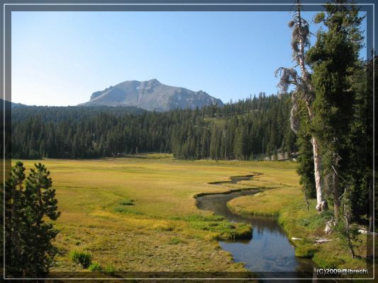 Lassen NP, Feuchtgebiet nördlich vom Mt. Lassen
