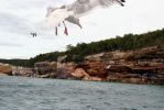 Pictured Rocks Tours