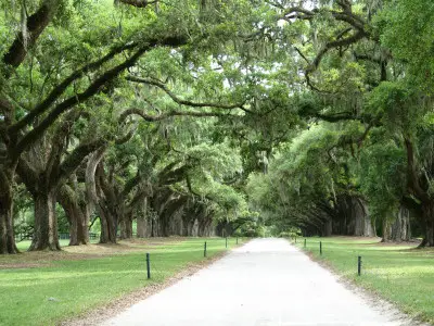 Boone Hall Plantation, Charleston, SC
