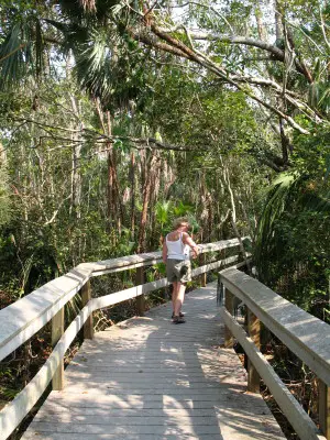 Everglades NP
