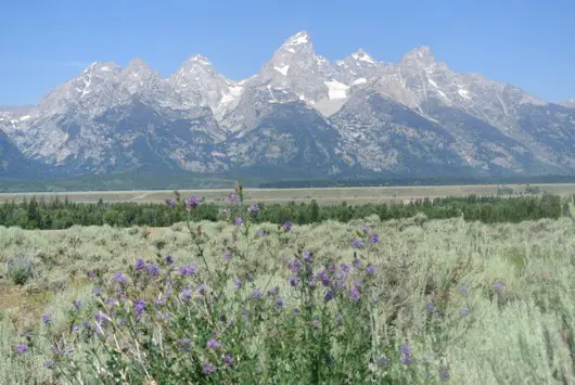 Grand Teton 2
