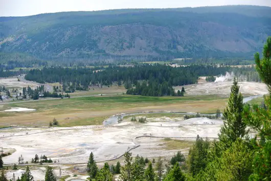 Yellowstone Old 4
