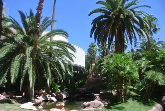 Las Vegas Flamingo Garten
