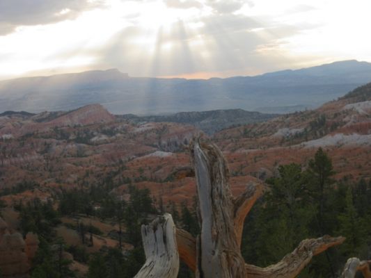Bryce Canyon Sonnenaufgang
