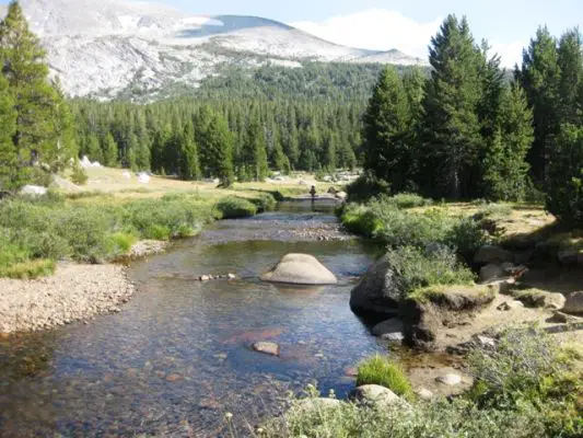 Tioga Pass
