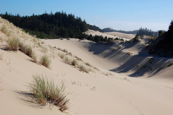 Oregon Dunes
