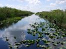 Everglades