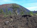 Schwarzes Lava und eine Zypresse im Sunset Crater
