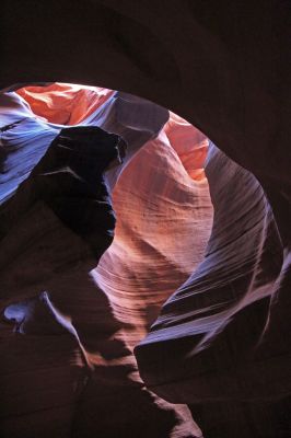 Upper Antelope Canyon Lion
