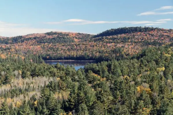 Algonquin Park Bat Lake Trail
