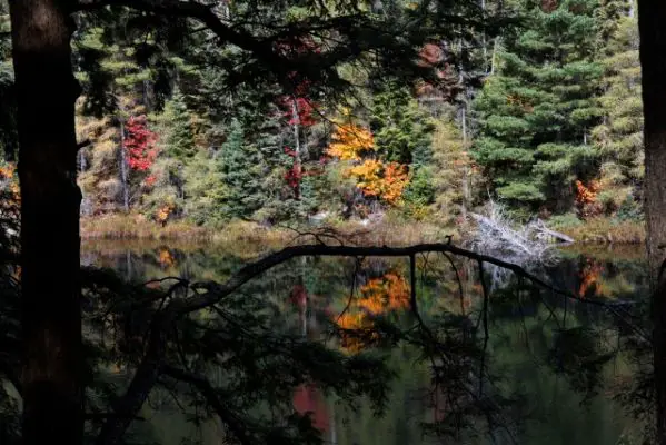 Algonquin Peck Lake
