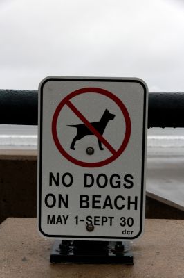 No Dogs
