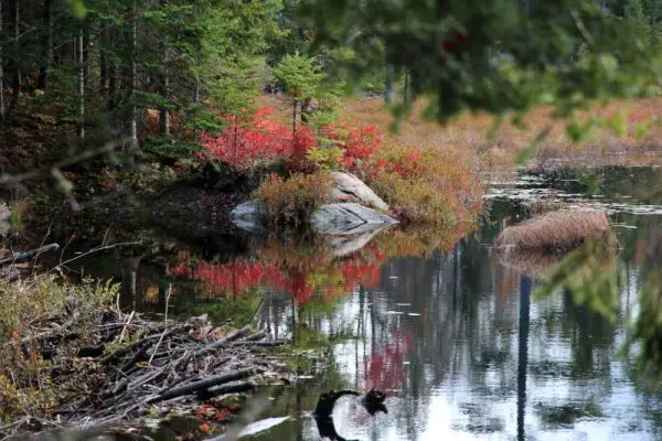 West Pond
