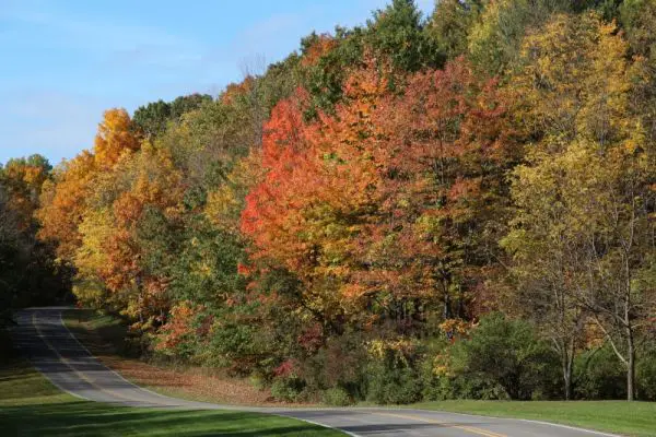 Letchworth State Park
