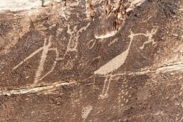IMG_3325_DxO_raw_Petrified_Forest_NP_Puerco_Pueblo_Petroglyphs_Storch_Forum.jpg