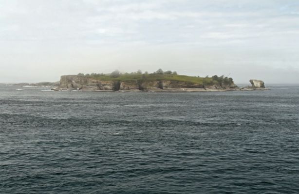 Tatoosh Island
