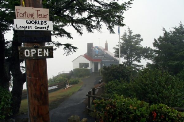 Cape Foulweather
