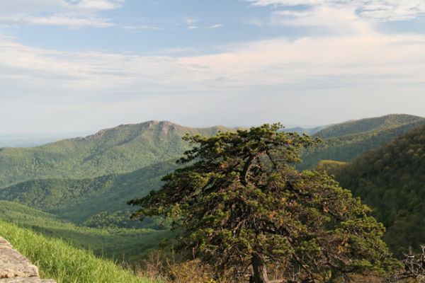 Blue Ridge Parkway
