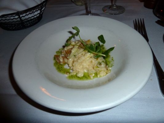 Lake Placid Chair 6 Apfelrisotto
