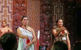 DSC01134 Waitangi Maori Performance_k