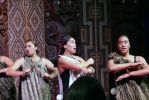 DSC01158 Waitangi Maori Performance_k