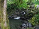 Lake Quinault Wasserfall