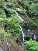 LakeQuinault Wasserfall