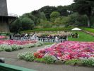 IMG_1192_DxO_San_Francisco_Golden_Gate_Park_Tulip_Garden_Hochzeit_Forum.jpg