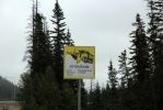 11 Banff Warnschild