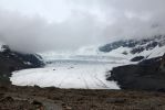IMG_2115_Columbia_Icefield_Athabasca_Glacier_forum.jpg