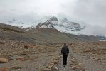 IMG_2116_Athabasca_Glacier_Forefield_Trail_Marianne_forum.jpg