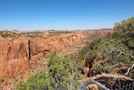 IMG_4000_Navajo_NM_Canyon_Overlook_Trail_Betatakin_Canyon_k.jpg