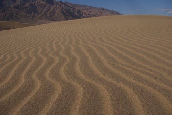 Sand Dunes Detail
