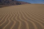 Sand Dunes Detail