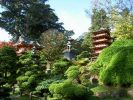 SF - Japanese Tea Garden