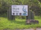Shark_Valley.JPG