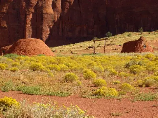Hogan der Navajo's
Aus einem Geflecht aus Zweigen und Ästen, abgedichtet mit rotem "Lehm", entstehen die Erdwohnungen der Indianer. Sie sind hier im Monument Valley noch bewohnt.
