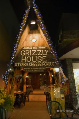 Grizzly House
