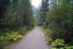 Wanderweg Berg Lake Trail