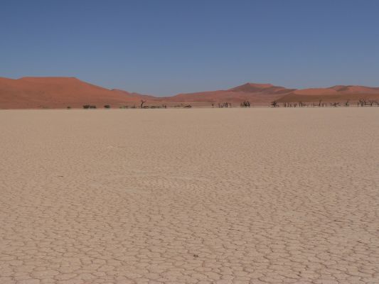 Dead_Vlei7.jpg