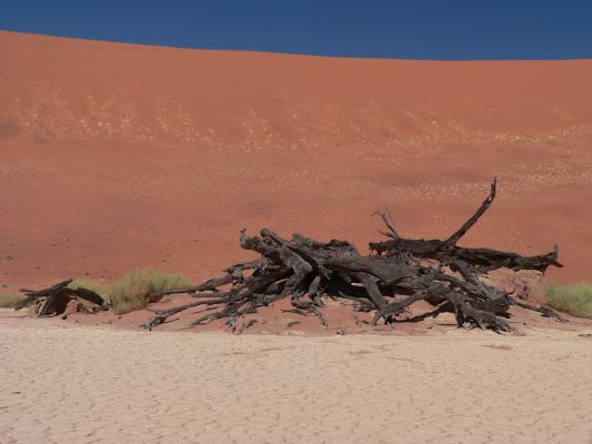 Dead_Vlei8.jpg