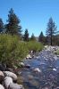 Sierra Nevada - River.jpg