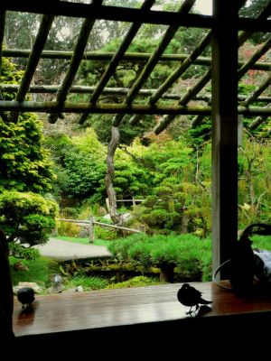 Im Japanischen Garten in San Francisco
Im Teehaus im Japanischen Garten
Schlüsselwörter: Japanischer Garten, San Francisco