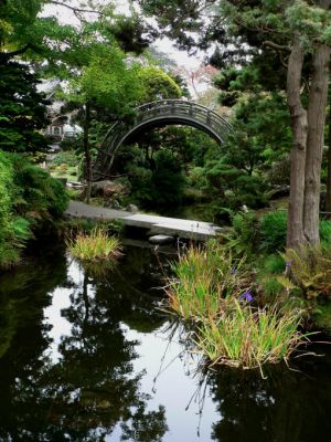Im Japanischen Garten in San Francisco
Die Brücke im Japanischen Garten
Schlüsselwörter: Japanischer Garten, San Francisco
